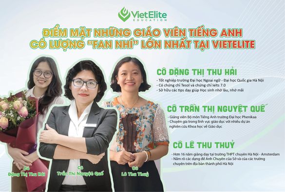 những giáo viên tiếng anh tại vietelite
