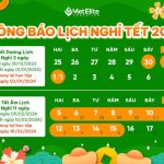 THÔNG BÁO LỊCH NGHỈ TẾT 2024 – VIETELITE EDUCATION
