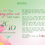 Lời chúc 20/10 – VietElite tôn vinh những người phụ nữ truyền cảm hứng