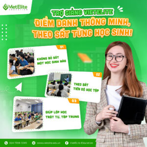 Trợ giảng VietElite – Đảm bảo lớp học kỷ luật và hiệu quả
