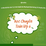 Học Chuyên Toán Lớp 6: Có Nên Bắt Đầu Sớm? Lộ Trình Chuẩn Cho Phụ Huynh Định Hướng Thi Chuyên, HSG