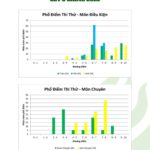 Phân tích phổ điểm Let’s Shine 2025: Thước đo bản lĩnh cho sĩ tử trước thềm mùa thi 2026