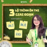 Lộ trình vào 10 qua 3 giai đoạn: Bí quyết bứt phá điểm số