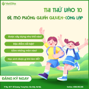 Thi thử vào 10 Hà Nội – Đề mô phỏng chuẩn chuyên & công lập