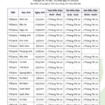 Danh sách phòng thi và số báo danh kỳ thi thử vào 10 năm 2026 tại VietElite