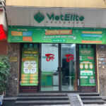 Khám phá 5 cơ sở VietElite tại Hà Nội – Hệ thống giáo dục uy tín