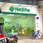 Vì sao nhiều học sinh lựa chọn VietElite Phạm Tuấn Tài?