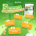 5 tiêu chí chọn lớp hè phù hợp cho con
