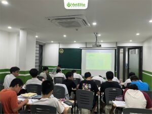 Học sinh chủ động cho hành trình thi chuyên vào 10