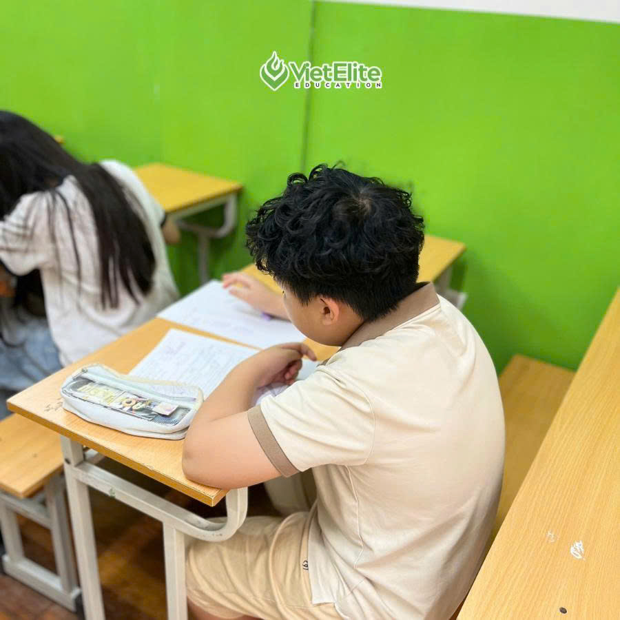 Test tập trung tại VietElite