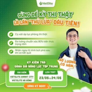 Đăng ký test năng lực ngày 23–24/5 tại Smart City & Hà Đông