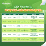 Thông báo lịch học khối 8 tại VietElite năm học 2026–2027
