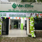 Tuần lễ khai giảng năm học mới 2026-2027 tại VietElite
