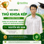 Thành tích thi vào 10: VietElite ghi dấu với thủ khoa trường chuyên