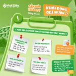Năm học mới đang đến gần: Đừng để con khởi động quá muộn