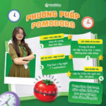 Phương pháp Pomodoro: Cách ứng dụng cho học sinh ôn chuyên