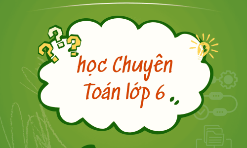 Học Chuyên Toán Lớp 6: Có Nên Bắt Đầu Sớm? Lộ Trình Chuẩn Cho Phụ Huynh Định Hướng Thi HSG